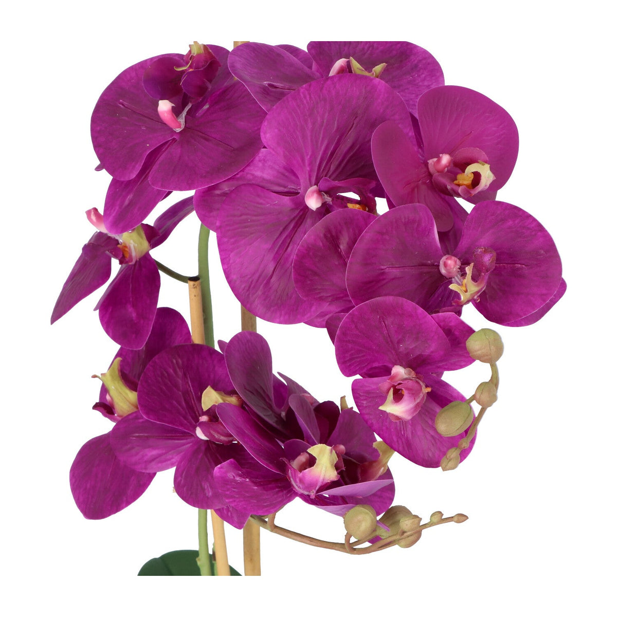 Kopu® Kunstbloem Orchidee 60 cm Lila - cement Sierpot - Phalenopsis