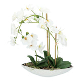 Kopu® Kunstbloem Orchidee 60 cm Wit met Schaal Ovaal - Phalenopsis