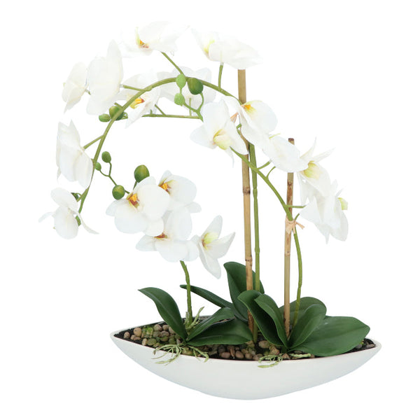 Kopu® Kunstbloem Orchidee 60 cm Wit met Schaal Ovaal - Phalenopsis