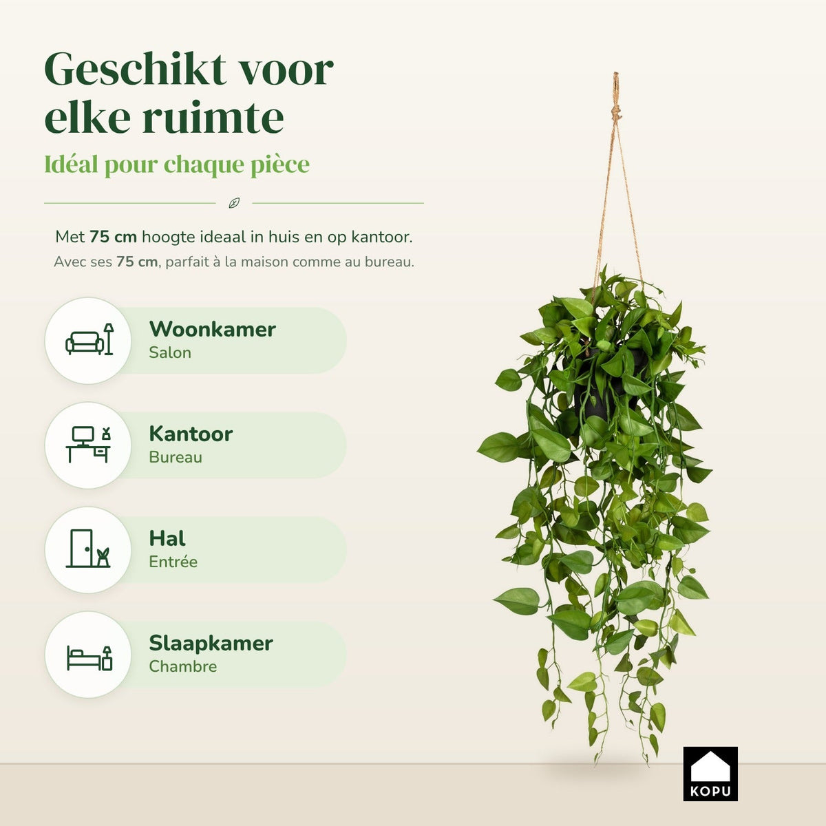Kopu® Hangplant Philodendron 75 cm - Macramé Plantenhanger met Pot