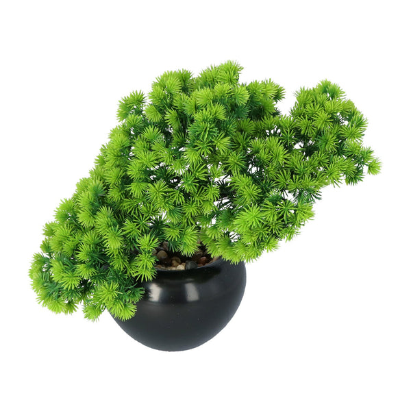 Kopu® Kunstplant Bonsai Lariks 37 cm met zwarte Pot - Bonsai boompje