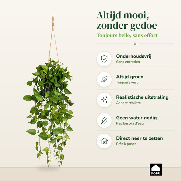 Kopu® Hangplant Philodendron 75 cm - Macramé Plantenhanger met Pot