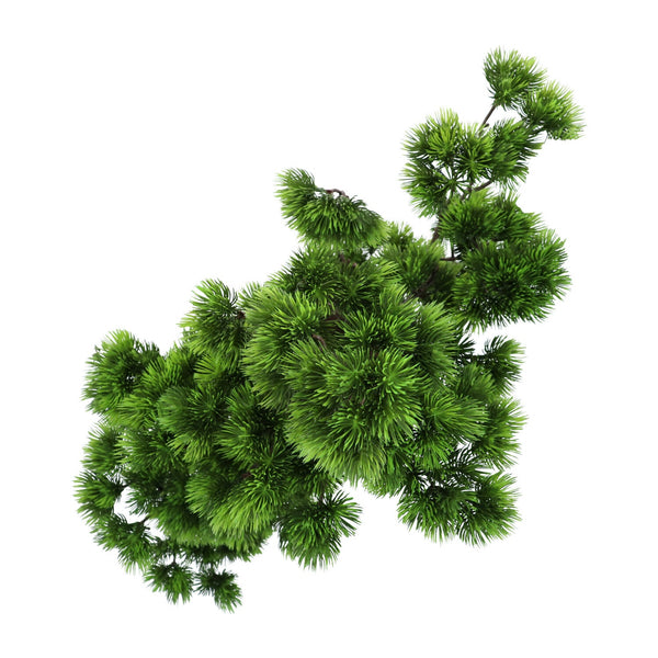 Kopu® Kunstplant Bonsai 65 cm Pijnboom met zwarte Pot - Bonsai boompje
