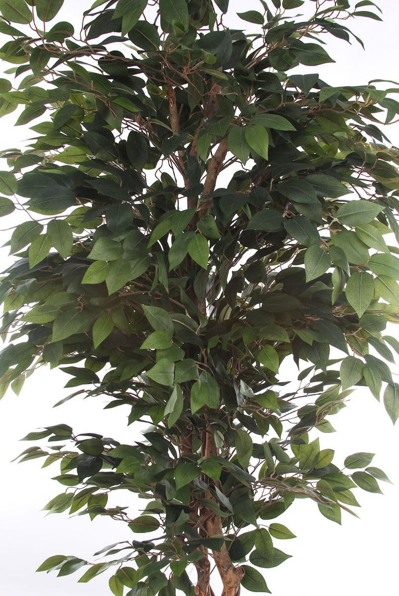 Kopu® Kunstplant Ficus 180 cm in pot met Natuurstam