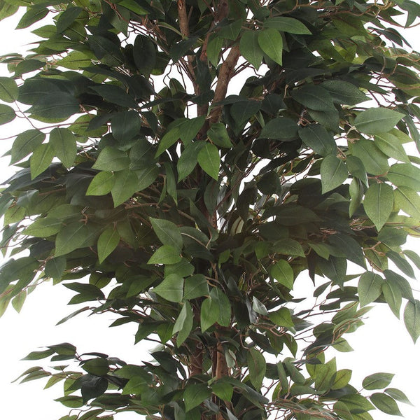Kopu® Kunstplant Ficus 180 cm in pot met Natuurstam
