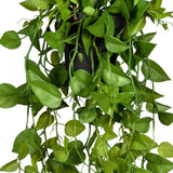 Kopu® Hangplant Philodendron 75 cm - Macramé Plantenhanger met Pot