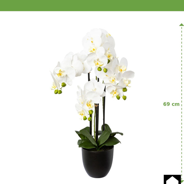 Kopu® Kunstbloem Orchidee 69 cm Wit met zwarte Pot - Phalenopsis