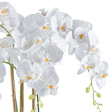 Kopu® Kunstbloem Orchidee 62 cm Wit met witte Pot - Phalenopsis