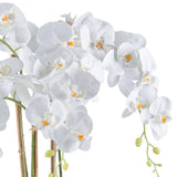Kopu® Kunstbloem Orchidee 62 cm Wit met witte Pot - Phalenopsis