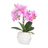 Kopu® Kunstplant Orchidee 33 cm in witte Sierpot 13x9cm - Roze