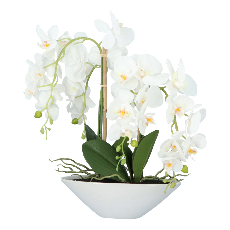 Kopu® Kunstbloem Orchidee 53 cm Wit met Schaal Ovaal - Phalenopsis