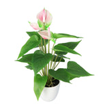 Kopu 2 Stuks Anthurium Roze Kunstplant 40 cm - Flamingoplant Roze