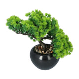 Kopu® Kunstplant Bonsai Lariks 37 cm met zwarte Pot - Bonsai boompje
