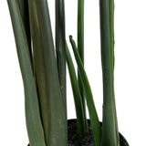 Kopu® Kunstplant Split Philodendron 105 cm - Extra vol met 42 bladeren