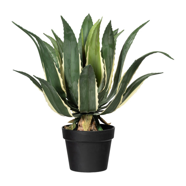 Kopu® Kunstplant Agave Variegeta 57 cm in zwarte Pot - 25 bladeren