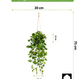 Kopu® Hangplant Philodendron 75 cm - Macramé Plantenhanger met Pot