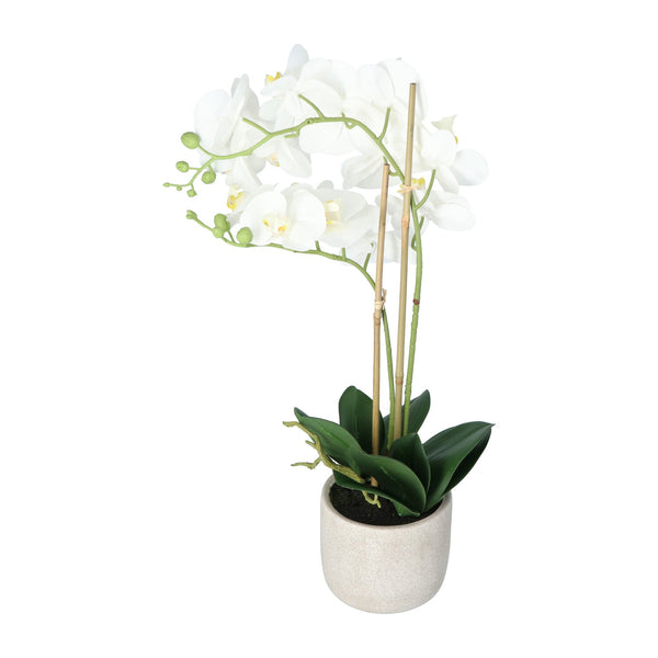 Kopu® Kunstbloem Orchidee 60 cm Wit met cement Sierpot - Phalenopsis