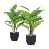 Kopu® 2 stuks Kunstplant Aglaonema 35 cm - 14 bladeren - in zwarte pot