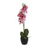Kopu® Kunstbloem Orchidee 65 cm Lila met zwarte Sierpot - Phalenopsis