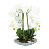 Kopu Kunstplant Orchidee 4 takken 41cm in Zilveren Schaal  - Wit
