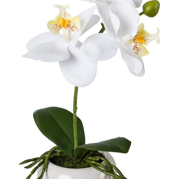 Kopu® Set 2 stuks Mini Kunstplant Orchidee 27 cm in witte Sierpot - Wit