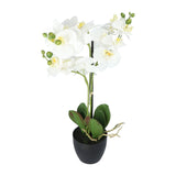 Kopu® Kunstbloem Orchidee 69 cm Wit met zwarte Pot - Phalenopsis