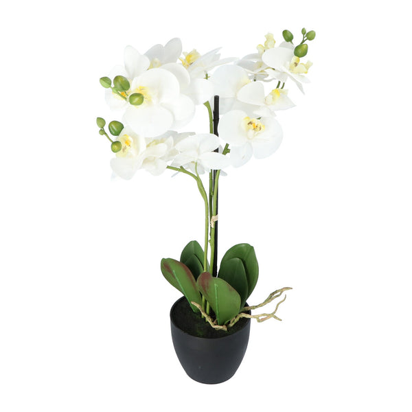 Kopu® Kunstbloem Orchidee 69 cm Wit met zwarte Pot - Phalenopsis