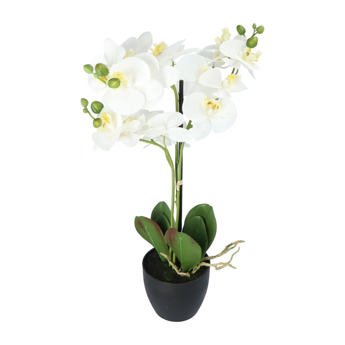 Kopu® Kunstbloem Orchidee 65 cm Wit met zwarte Pot - Phalenopsis