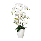Kopu® Kunstbloem Orchidee 110 cm Wit Bloempot Rond - Phalaenopsis