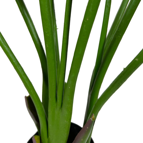 Kopu® Kunstplant Strelitzia Nicolai 120 cm - Paradijsvogelplant 8 blad