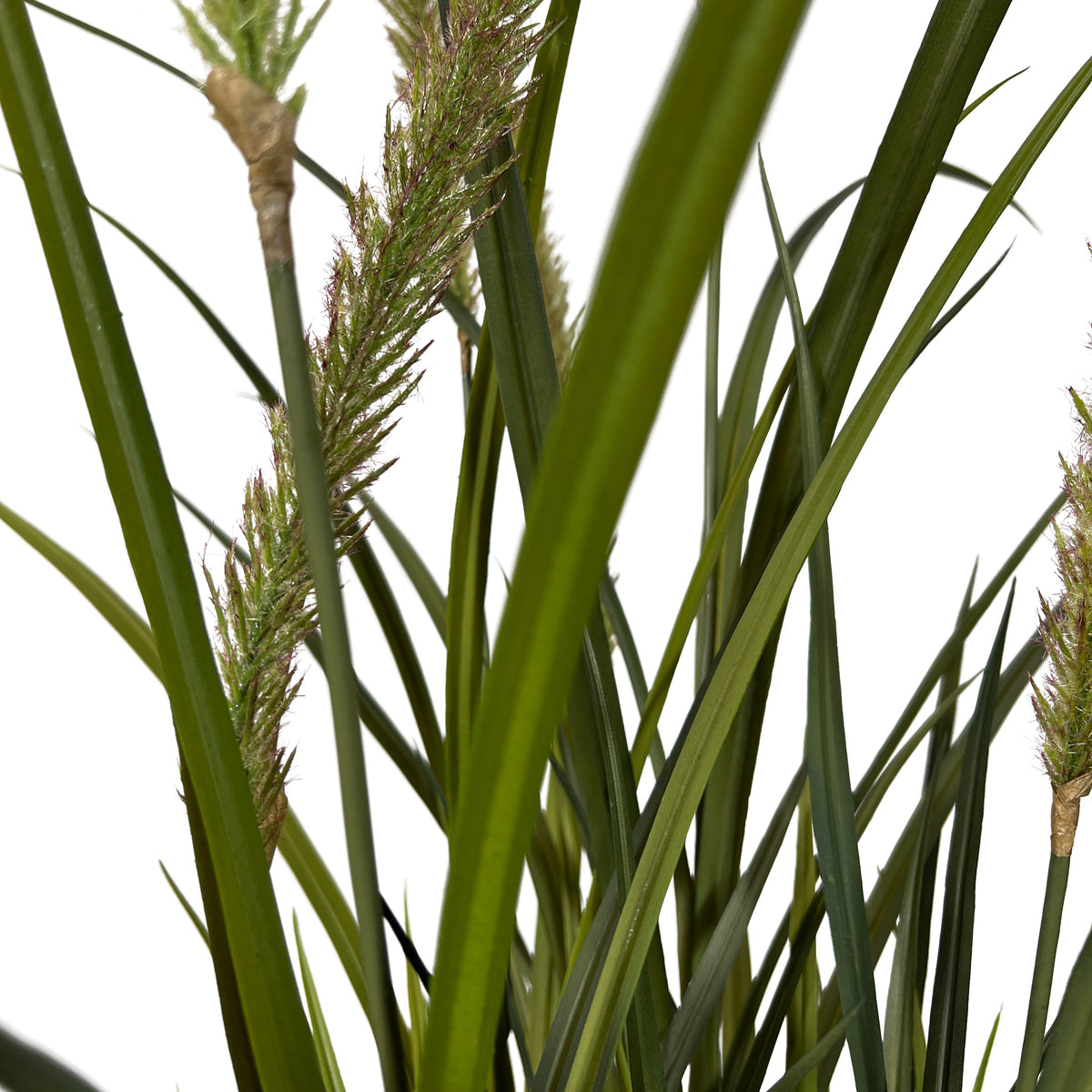 Kopu® Kunstplant Miscanthus 135 cm - 7 pluimen - in zwarte pot