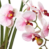 Kopu® Kunstbloem Orchidee 46 cm Lila Bloempot Vierkant - Phalaenopsis