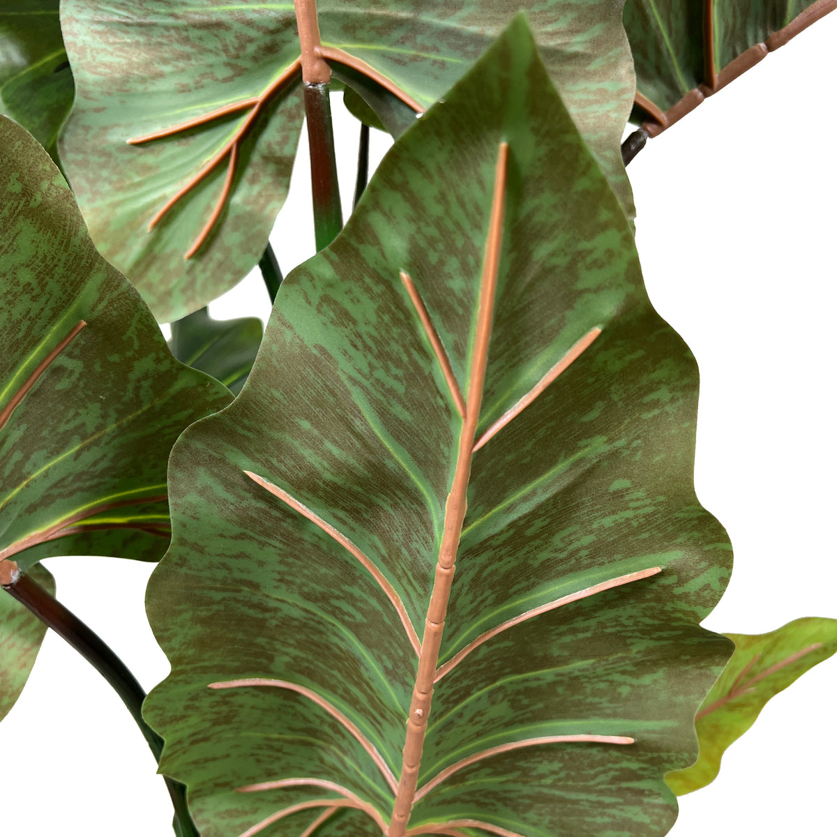 Kopu® Kunstplant Colocasia 140 cm - 8 bladeren - in zwarte pot
