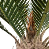 Kopu® Kunstplant Cycaspalm 60 cm in zwarte pot - 18 varens - Nepplant